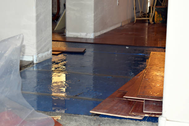Professional Basement Flood Cleanup technician working in Brice, OH
